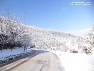 Pensiunea Valea Cernei - 2