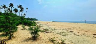 The Frangipani Marari Beach - Mararikulam - 6