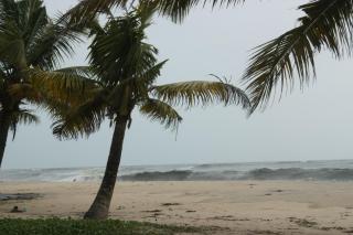 The Frangipani Marari Beach - Mararikulam - 7