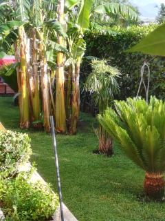 Villa Mimmo - Lascari - 2