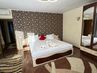VILA IANIS PIATRA NEAMT - Piatra Neamţ - 9