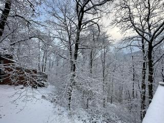Wood House - Blaimont - 9