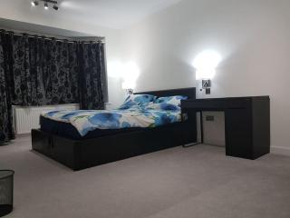 Contemporary ground flr maisonette- Entire place - Northwood - 9