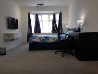 Contemporary ground flr maisonette- Entire place - Northwood - 8