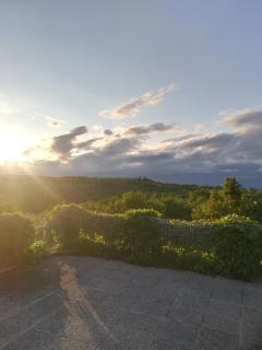 Istria Divina - Marezige - 9