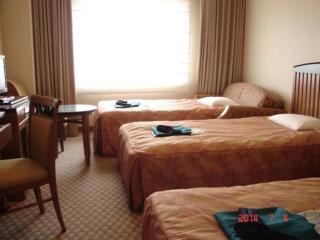 Aeria Tohno - Vacation STAY 62231v - Tōno - 9
