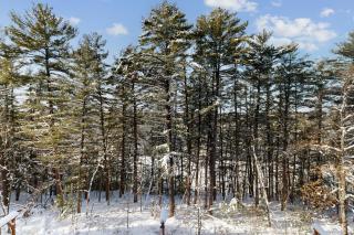 Chula Vista Condo 2341 - 4