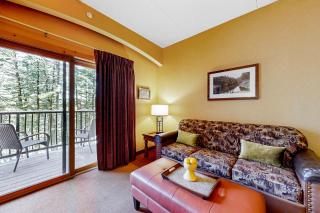 Chula Vista Condo 2341 - Wisconsin Dells - 2