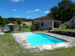 Dans hameau avec piscine privée - Castelnau-Montratier - 8
