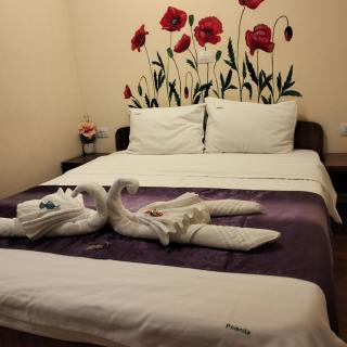 Vila Poienița Căciulata - Călimăneşti - 4