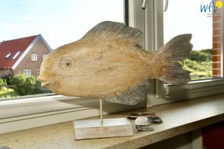 Haus Janine Ferienwohnung Meeresblume - Juist - 6