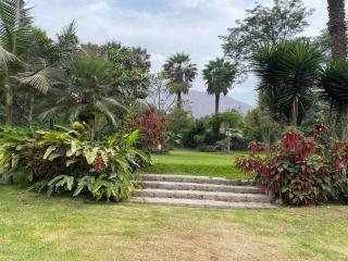 FUNDO VIERA: Amplio y acogedor - 1