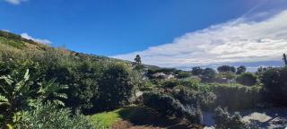 Carmo Country Villas - Ponta Delgada - 7