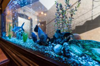 Premium Hotel - Chernivtsi - 7