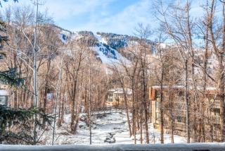 315 Park Avenue, Luxury Townhouse with River Views in Aspen - 6