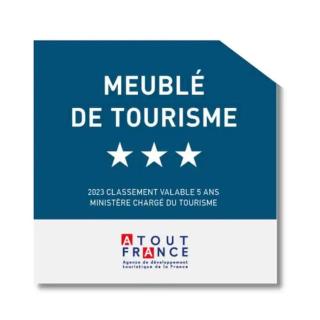 Le Spacieux , 7 personnes, 6 lits, PARKING, proche LYON PARTDIEU - Villeurbanne - 7
