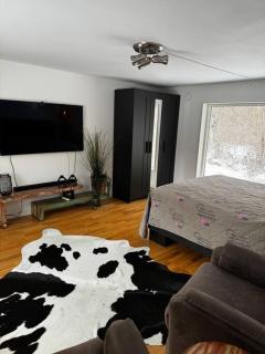 Mysigt hus på 40 kvm i Målaskog - Ryssby - 2
