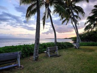 Oceanfront true 2 bedroom w/lanai on Molokai - Ualapue - 5