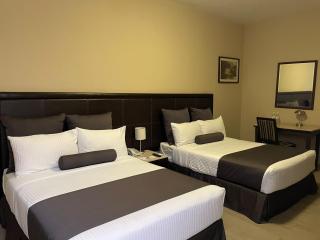 Hotel San Francisco - San Luis Potosí - 0