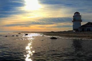Faro Romain - - 6
