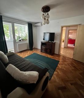 Noreea Central Apartment - Timişoara - 9