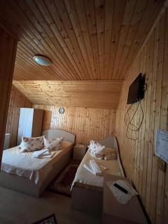 Cabana Cerbul-Oasa-Transalpina - Ciban - 8