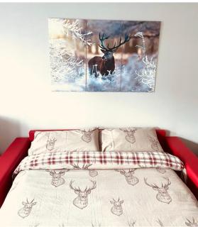 CASA VACANZA NIDO COLLETTO - 7