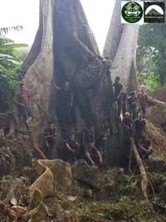 Khaosok legend - Parco Nazionale di Khao Sok - 1