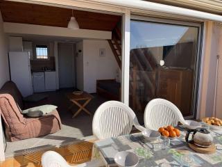 Duplex central avec terrasse, parking et équipements modernes pour 6 personnes à Marseillan - FR-1-387-201 - Marseillan - 1