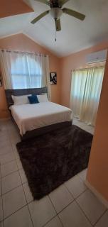 Finest Accommodation Caribbean Estate Lot 78 - Portmore - 9