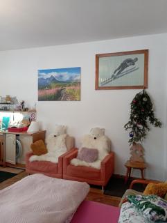 A3Apartament 2 pokojowy aneks kuchenny 2 łazienki na korytarzu wspólne z innymi Ludźmi - Zakopane - 8