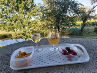 domaine de codeval - Fronton - 9