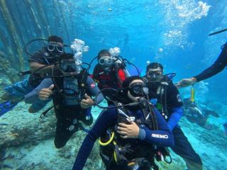 Raja Ampat Sandy Guesthouse - Saonek - 1