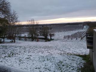 domaine de codeval - Fronton - 1