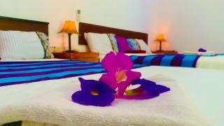 Aloe Home Stay - Sigiriya - 0