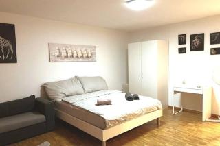 Newly 1.5 rooms furnished apartment @ Dübendorf - Dübendorf - 9