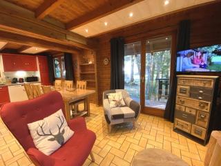 LE RENNE Chalet en bois au calme avec SPA Jacuzzi - La Bresse - 4