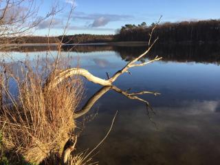 Ferienwohnung Himmelpfort - 1