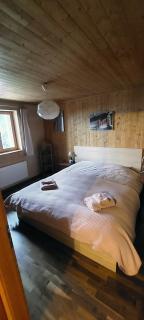 Chalet AS des Pics - 1