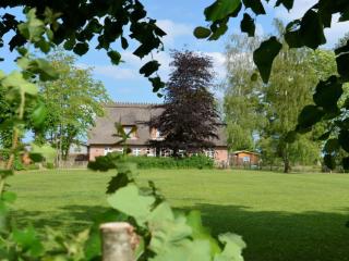 Holiday apartment Domstag - Kronsgaard - 9