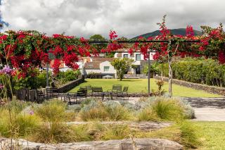 Guava Azores II - 2