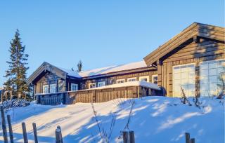 Beautiful Home In Sjusjøen With Sauna - Sjusjøen - 3