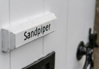 Sandpiper - 1