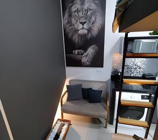 Studios Tiny House - Viva Essa Experiência - São Paulo - 5