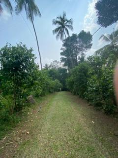 Nature Korale - Galle - 8