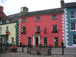 The Drovers Bed and Breakfast - Llandovery - 9