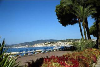 Luxueux appartement à 50 m de la Croisette - Cannes - 1