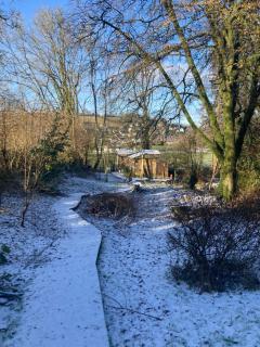 Honey Bee Cabin - Llandysul - 5