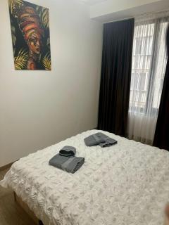 Nix Apartment - Calea Moldovei - Bistriţa - 3