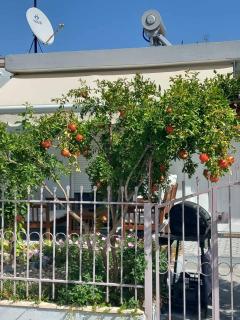 Anastasia’s Home - 0